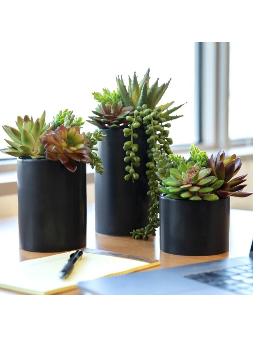 Faux Succulent Plants in Ceramic Pots - Perfect for Home & Office Decor